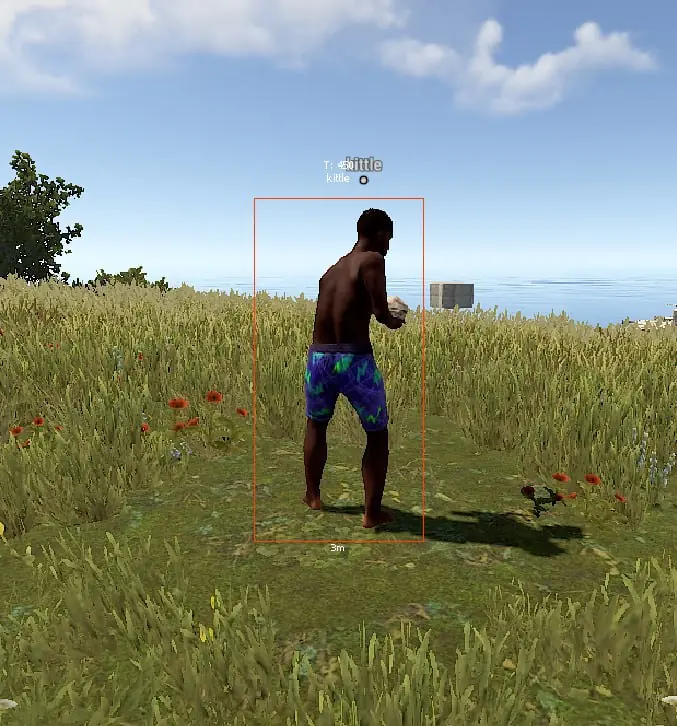 Elysian Rust DMA — DMA CHEATS screenshot 7