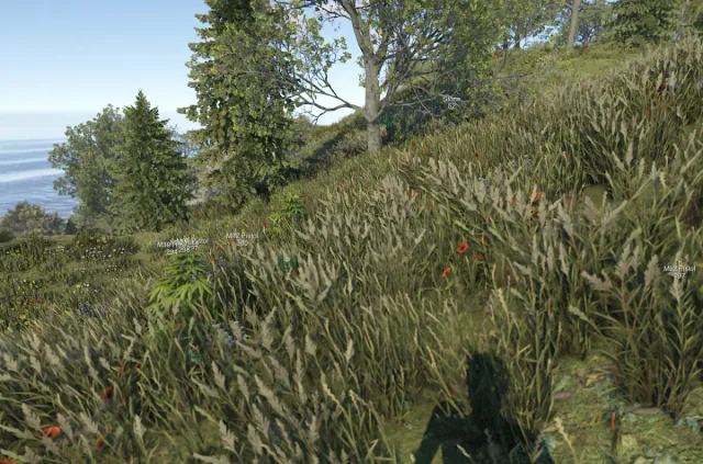 Nightfall Rust DMA — DMA CHEATS screenshot 3